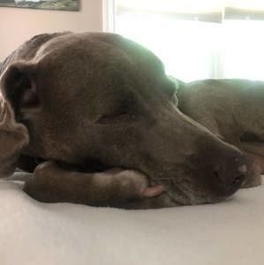 Meet your Posher, Becky